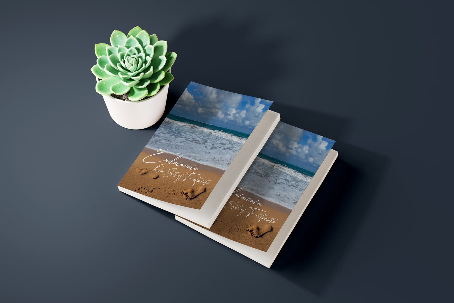 Eudaimonia: One Set of Footprints