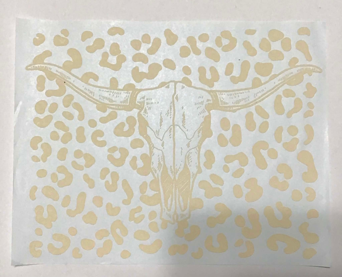 CHEETAH SKULL